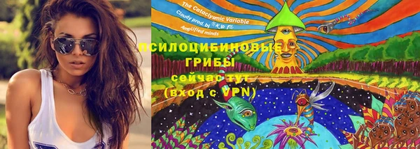 ПСИЛОЦИБИНОВЫЕ ГРИБЫ Карталы