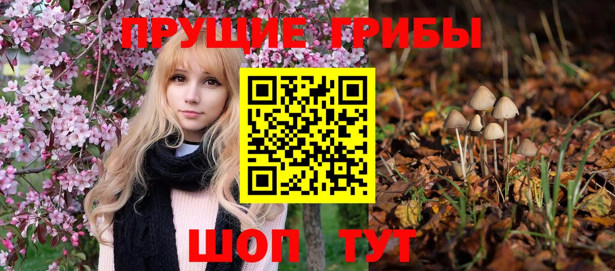 Псилоцибиновые грибы мухоморы Альметьевск